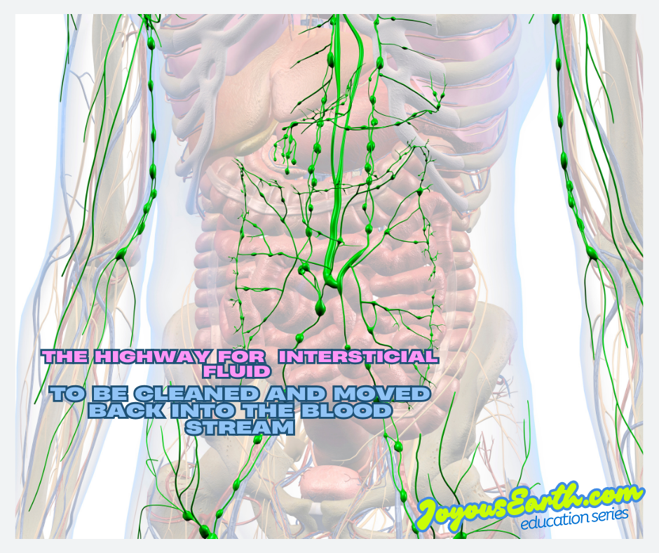 lymphatic massage gympie 