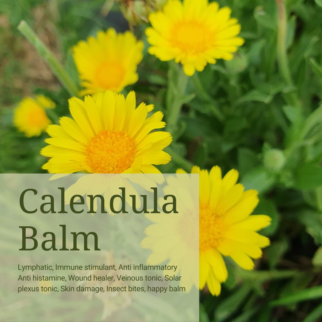 Calendula balm, orgainc handmade