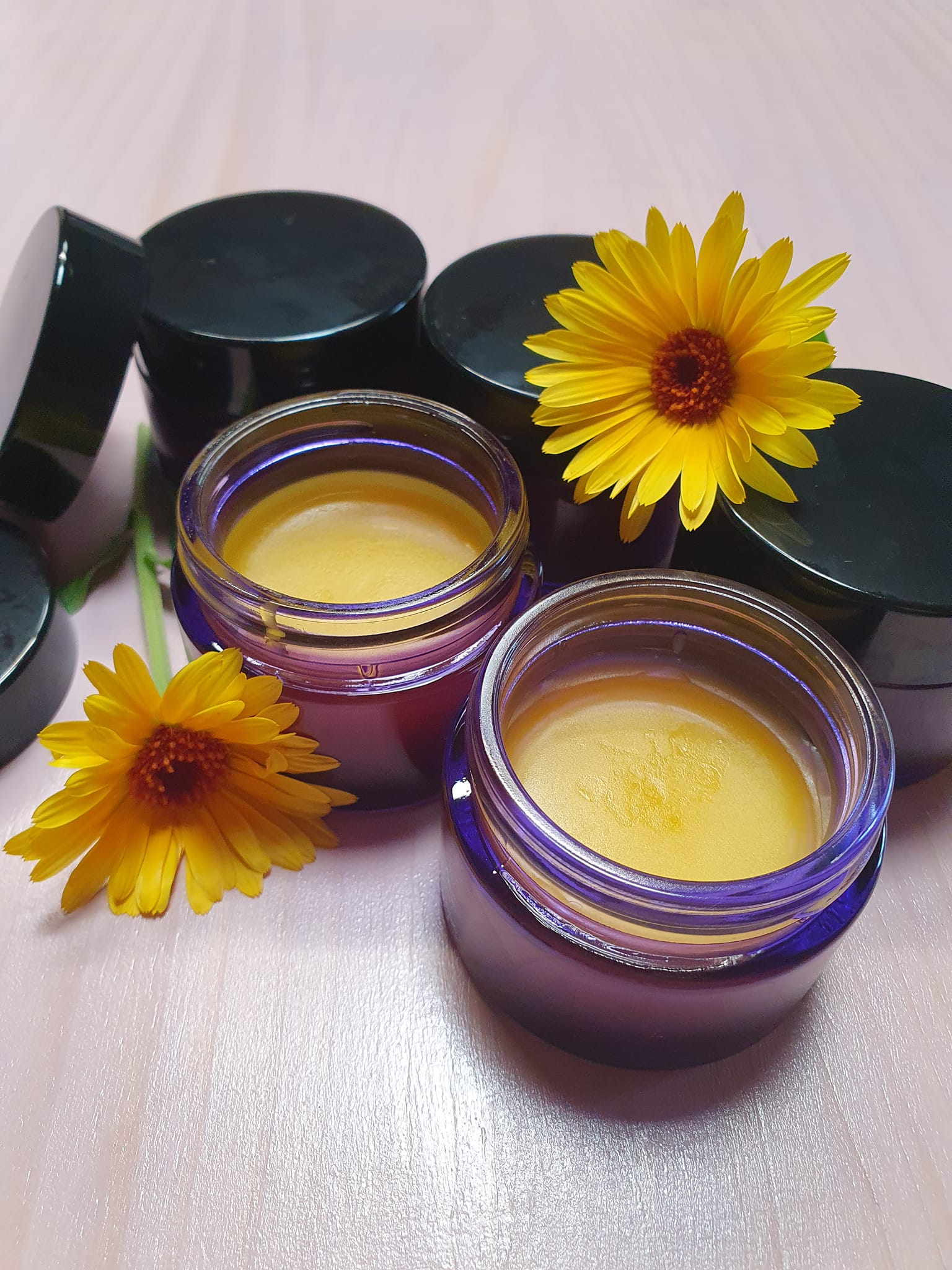 Calendula officinalis monograph, balm